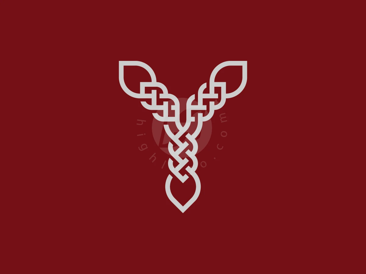 Letter Y Premium Logo - preview 1