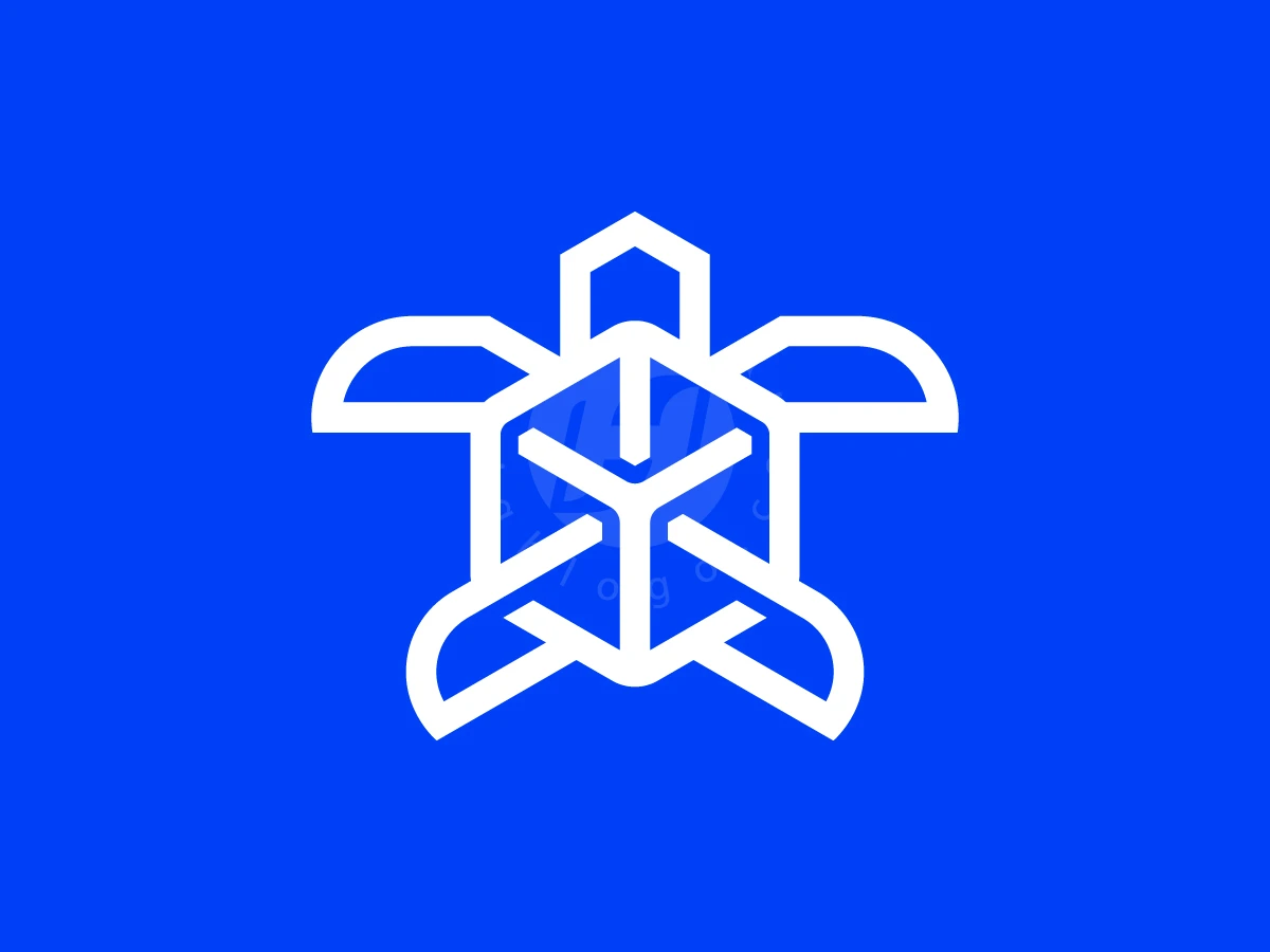 Cube Turtle Digital Tech logo displays white geometric lines forming a turtle with a cube shell on blue.