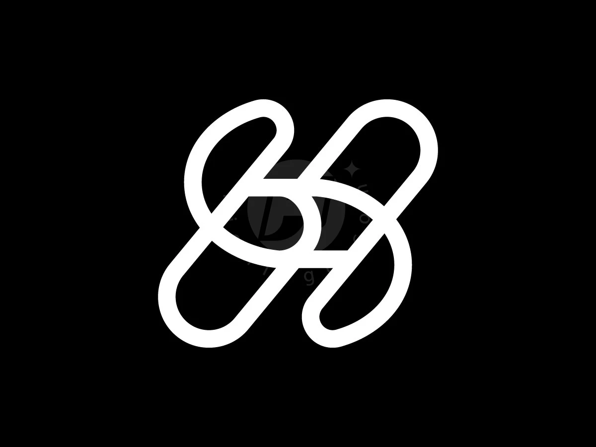 Interlocking white lines form a futuristic H S letter logo with symmetrical loops on a solid black background.